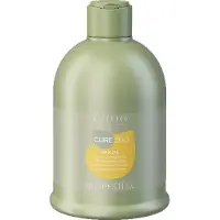 Alter Ego CureEgo Silk Oil Shampoo 300 ml — Shampoo