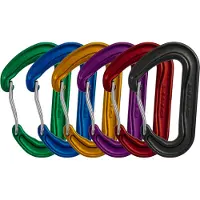 Dmm Wisp Colour 6 Pack Moschettoni a leva variopinto