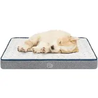 OEM Cuccia impermeabile per cani S 60x45x7,5 cm, lavabile, con cuscino di supporto in schiuma