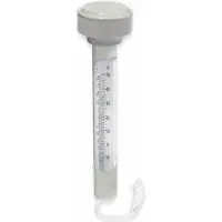 Bestway Termometro per piscina B58072 18380