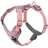 Hunter Divo Up Imbracatura per cani (S, altrosa)
