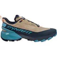 Dynafit Transalper 2 GTX Scarpe da avvicinamento Uomo (41, blu)