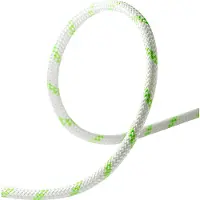 Edelrid Pintail 10 mm Corda intera (40 m, bianco)
