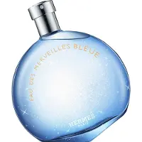 Hermès Paris Blue Wonder Water 100 ml — Eau de Toilette