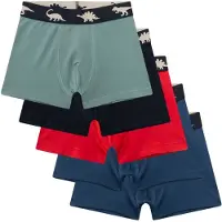 Sanetta Kid's Set Shorts 337333 5-Pack Mutande Bambini (104, variopinto)