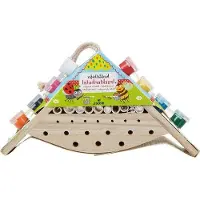 OEM Albergo per insetti da dipingere, progetto fai da te per bambini, legno, vernice, creatività