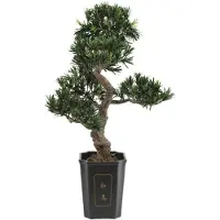 Europalms Bonsai Podocarpus, pianta artificiale, 80cm (82600116)