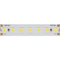 Beneito Faure Striscia LED FINE 24V 9,6W/m - Bobina da 5 metri, Luce Fredda 6000K, Grado di protezione IP65 per Esterni -