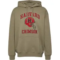 s.Oliver Sweatshirts Army Green Taglia: M | Felpe con cappuccio Outlet | Uomo | Verde