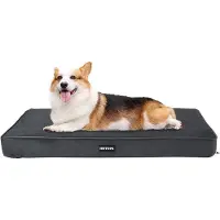 OEM Cuccia ortopedica per cani, spessore 9 cm, taglia media, rivestimento sfoderabile e lavabile, grigio scuro