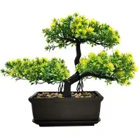 OEM Decorazione per albero Kunstbon sai 27x per il soggiorno