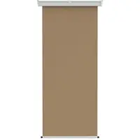 Prolenta Maison Exclusive - Tenda da balcone laterale, 100 x 250 cm, 100% poliestere, struttura in ferro e acciaio