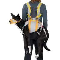 Ruffwear BackTrak Dog Evacuation Kit Accessori per cani (M, cloudburst gray)