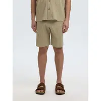 Selected Shorts Uomini Grigio S