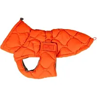 Kentucky Giacca Per Cani Winter Pina