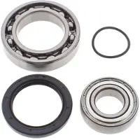 All Balls Kit Cuscinetti E Paraolio Differenziale 14-1041 Polaris