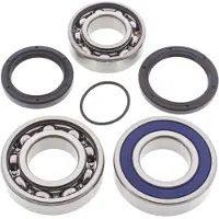 All Balls Kit Cuscinetti E Paraolio Differenziale 14-1051 Yamaha