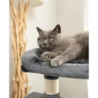 Markenlos Tiragraffi per gatti con 2 grotte e comoda area per sdraiarsi - Altezza 80 cm, inclusa palla di peluche e campana - Sisal e peluche - Adatto a gatti di piccola e grande taglia - Grigio scuro