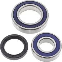 All Balls Kit Cuscinetti E Paraolio Differenziale 14-1044 Ski Doo