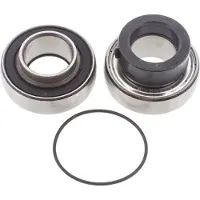 All Balls Kit Cuscinetti E Paraolio Differenziale 14-1046 Arctic Cat