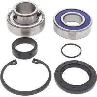 All Balls Kit Cuscinetti E Paraolio Differenziale 14-1003 Polaris