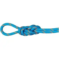Mammut 8.7 Alpine Sender Dry Rope Corda intera (60 m, blu)