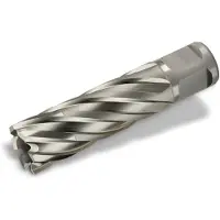Fein HSS-Nova 50 carotatrice Ø 17 x 50 Weldon, 63134170052