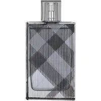 Burberry Brit Men EDT 100ml — Eau de Toilette