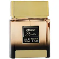Flavia Amber Elixir Donna 100 ml — Eau de Parfum