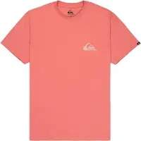 Quiksilver EV Mini Logo S/S T-shirt Uomo (XL, rosso)