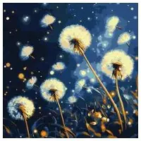 Ideyka Dipingere con i numeri - Tarassachi in volo 40x40 cm -