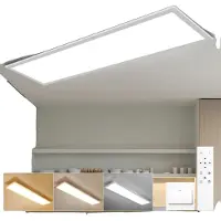 OEM Pannello luminoso a LED, dimmerabile, con telecomando, 1 pezzo, 120 cm, 40W, intercambiabile
