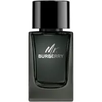Burberry Mr. Uomo 100 ml — Eau de Parfum