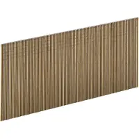 Big Buy Cooking Scatola Con 6500 Micro Chiodi 30x0.6 Mm