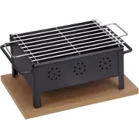 Sauvic Barbecue 25x20