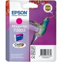 Epson Cartuccia stampante C13T08034010 - Magenta