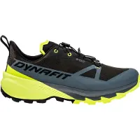 Dynafit Traverse 2 GTX Scarpe da trekking Uomo (47, variopinto)