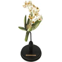 Meander , vaso botanico a forma di fiore, modello "Wonderboom", colore crema, dimensioni Ø13x34,5 cm