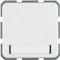 Berker 471909 Presa di corrente SCHUKO con coperchio a cerniera e campo di etichettatura bianco polare, lucido wg Up