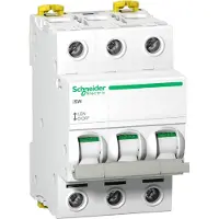 Schneider Electric APC Schneider Sezionatore 3P 63A A9S65363