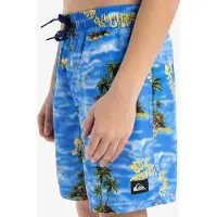 Quiksilver Kid's Everyday Straight Volley 14 Pantaloncini Bambini (16 Years, blu)