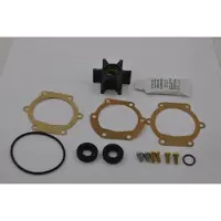 Johnson Pump Servizio Impostato Per F4b-8 F4b-9