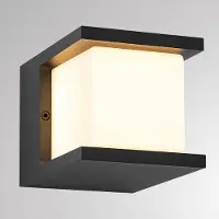 Molto Luce Applique da esterni LED FYNN-U, antracite, 12 cm, IP65, CCT on/off