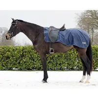 QHP Tappeto da equitazione 420D con imbottitura in pile
