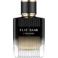 Elie Saab L'Homme Eau de Parfum 100 ml — Eau de Parfum