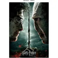 SD Toys Harry Potter Voldemort Vs Harry Puzzle 1000 Pezzi