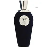 Van Canto Mastin 100 ml — Eau de Parfum