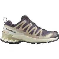 Salomon Women's XA Pro 3D V9 GTX Scarpe sportive Donna (36 2/3, beige)