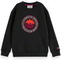 Scotch & Soda Boy Relaxed-fit Artwork Sweatshirt Anthracite Taglia: 14 | Maglioni Outlet | Unisex