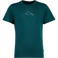 Stoic Kids Merino155 LaholmSt. Print T-Shirt Maglia merino Bambini (116, blu)